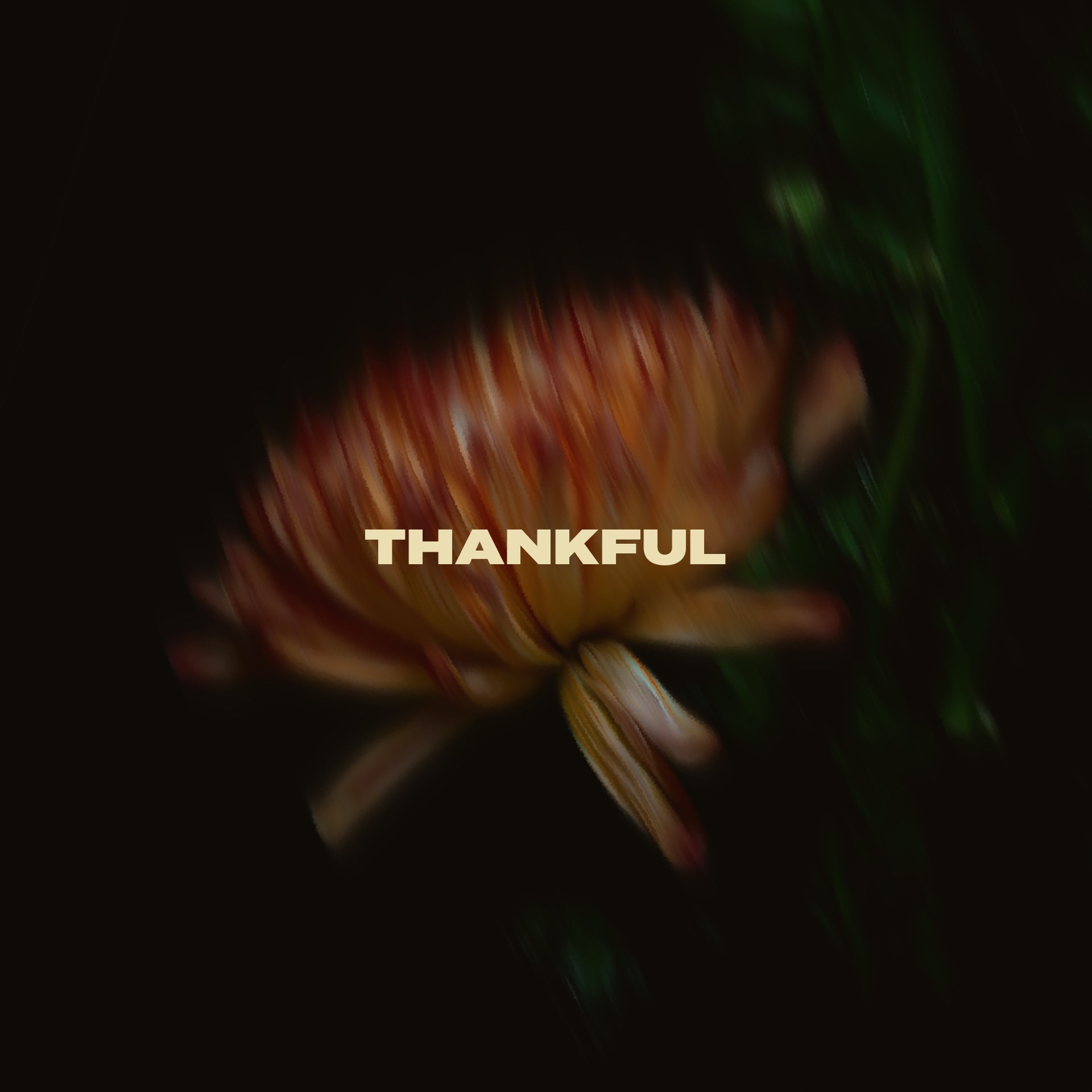 Thankful